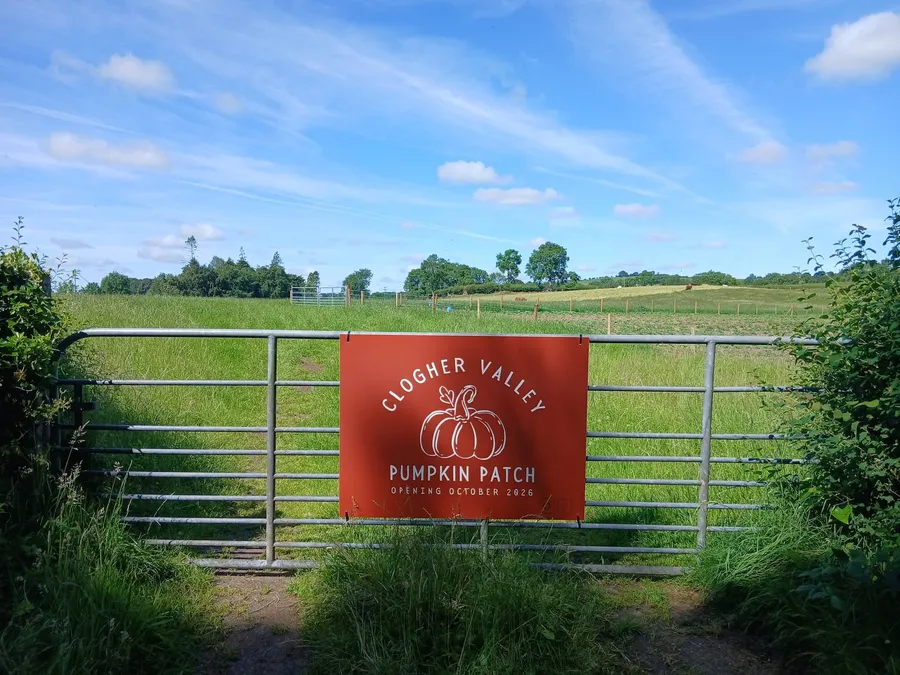 Clogher Valley Pumpkin Patch printed correx sign on a farm gate, an example of short-run outdoor print.